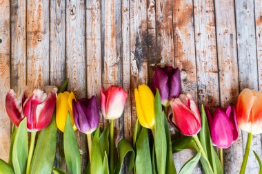 Bahar çiçekleri, laleler, notlar için yer, harfler. Ahşap arkaplanda tebrik kartları.