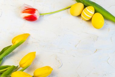 Düz paskalya kompozisyonu, laleler ve yumurtalar. Mutlu Paskalya tebrik kartları. Kopyalama alanı olan üst görünüm.