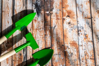 Ahşap bir arka planda izole edilmiş bahçe aletleri. Metin için kopyalanma alanı. Üst görünüm. 