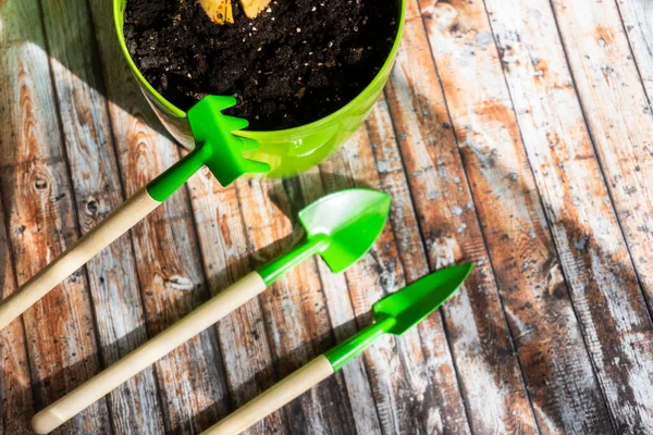 在家种花 Shovel 在木制的背景上耙 复制空间 园艺工具 顶视图 树苗的工具 锅子和泥土 生态园林 美化概念 — 图库照片