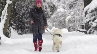 Yürüyüşteki köpek.