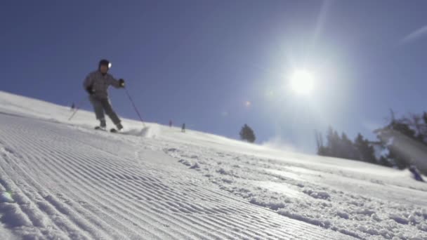 Narciarz na nartach w dół — Wideo stockowe