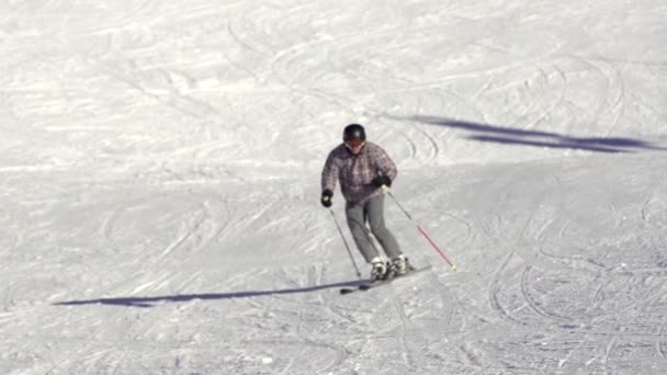 Esqui esquiador para baixo — Vídeo de Stock
