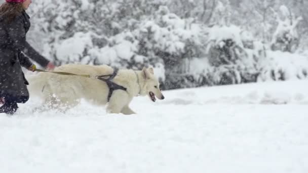 Femme courant dans la neige — Video