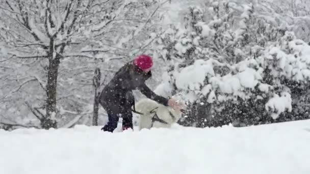 Κορίτσι Ρίψη χιονοστιβάδας σε το σκύλο — Αρχείο Βίντεο