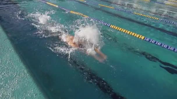 Entrenamiento profesional de nadadores — Vídeos de Stock