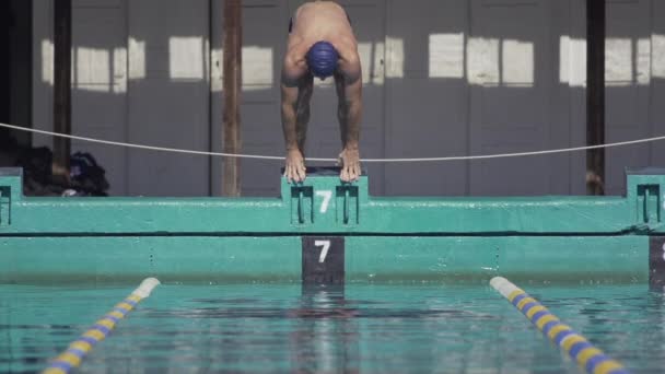 Schwimmerin springt vom Block — Stockvideo