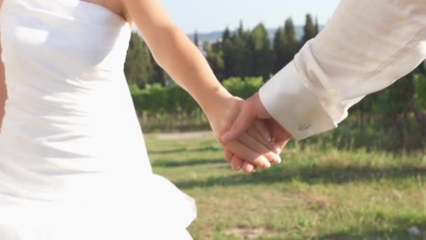 Весільна пара ходить у виноградниках — стокове відео