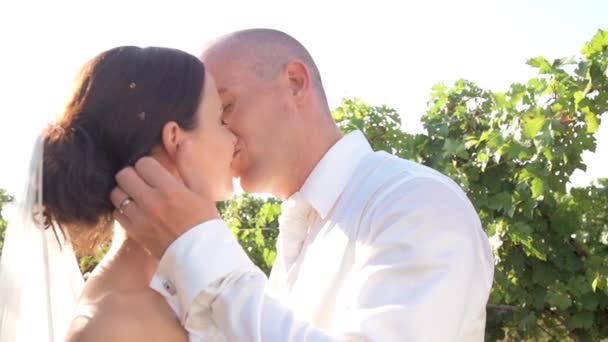 Casamento casal beijando — Vídeo de Stock