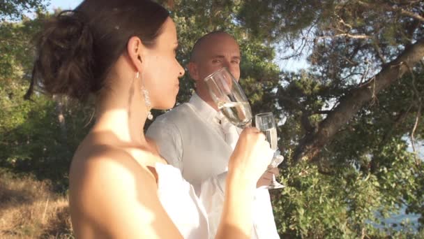 Wedding couple drinking champagne near ocean — Stock Video