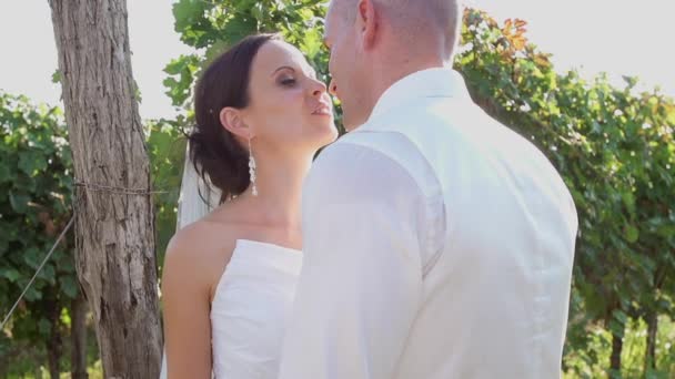 Свадебная пара целуется — стоковое видео