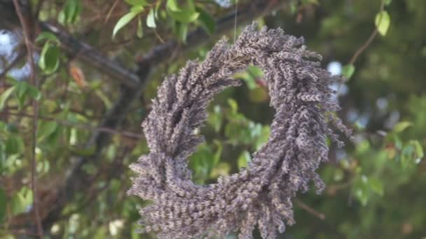 Guirnalda de lavanda azul — Vídeos de Stock