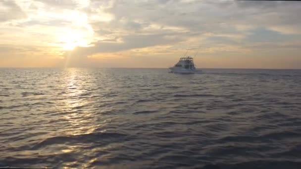 Lyxig båt kryssningar mot Golden Sunset — Stockvideo