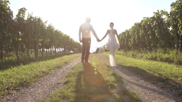 Couple de mariage marchant dans les vignes — Video