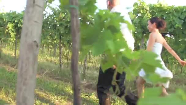 Casamento casal andando nas vinhas — Vídeo de Stock