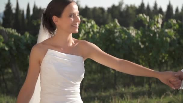 Pareja de boda caminando en los viñedos — Vídeos de Stock