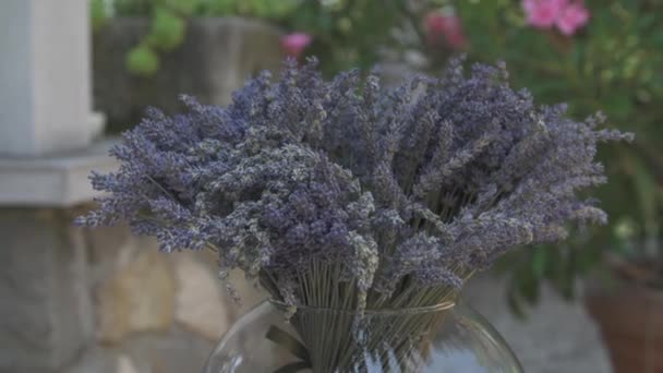 Boeket lavendel — Stockvideo