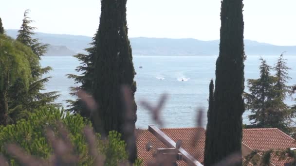 Vista del mar con barcos a través de árboles verdes — Vídeos de Stock