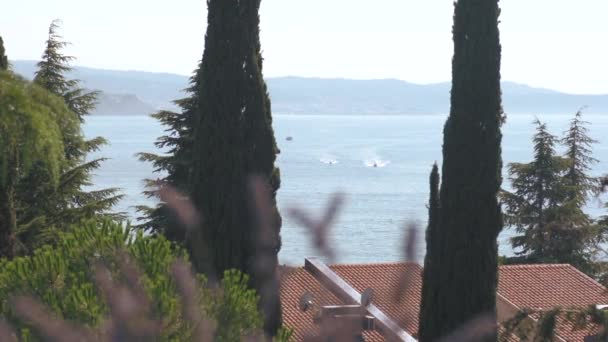 Vue De La Mer Avec Des Bateaux à Travers Les Arbres Verts — Video