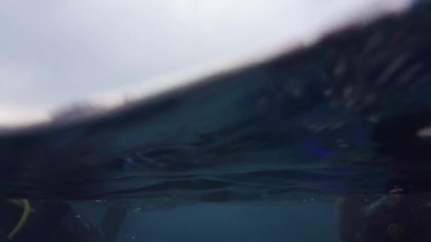 바다에서 수영 하는 여자 — 비디오
