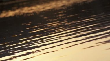 Doğal göl kenarında huzurlu sular