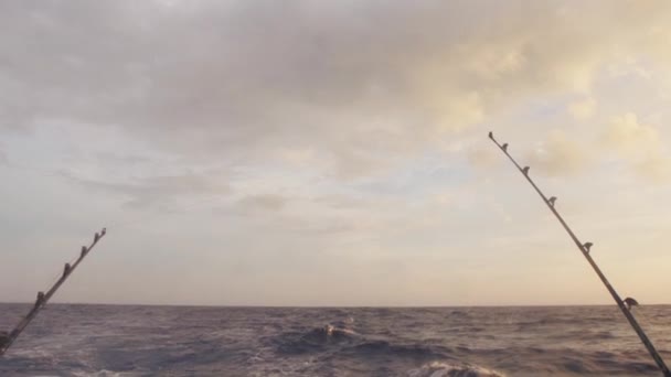 Cañas de pescar listo para la pesca — Vídeo de stock