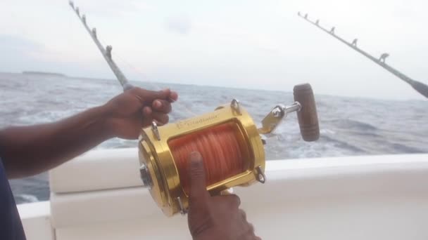 Fishing Road And Rolling Reel — Stock Video