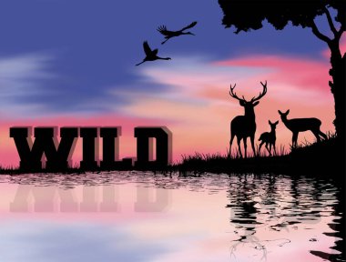 Ormandaki bir geyiğin silueti