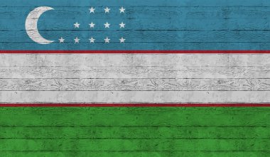 El sallayan grunge desenli Özbekistan bayrağı. Vektör arkaplanı.