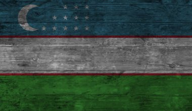 El sallayan grunge desenli Özbekistan bayrağı. Vektör arkaplanı.