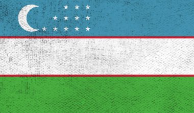 El sallayan grunge desenli Özbekistan bayrağı. Vektör arkaplanı.