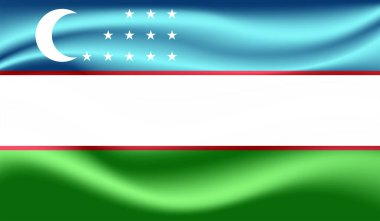 El sallayan grunge desenli Özbekistan bayrağı. Vektör arkaplanı.