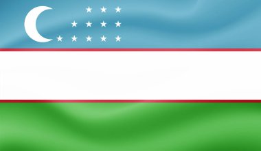 El sallayan grunge desenli Özbekistan bayrağı. Vektör arkaplanı.