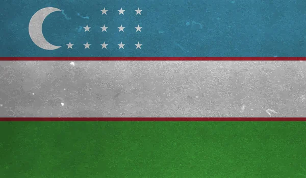 El sallayan grunge desenli Özbekistan bayrağı. Vektör arkaplanı.