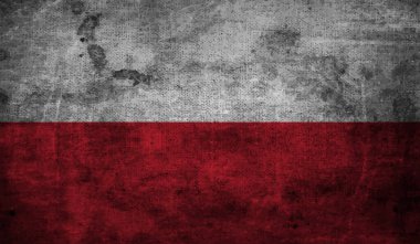 Polonya grunge bayrağı. Arkaplanda vektör izole edildi