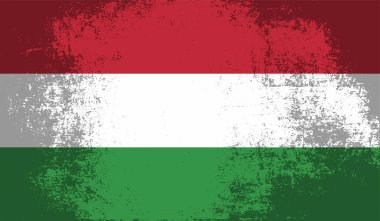 Macaristan Bayrağı. Grunge fırça darbesi ile Macaristan bayrağı gri renkte izole edildi. Stil suluboya çizimi ve grunge dokusu. Vektör illüstrasyonu.