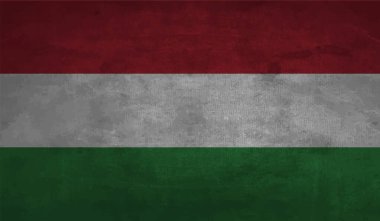 Macaristan Bayrağı. Grunge fırça darbesi ile Macaristan bayrağı gri renkte izole edildi. Stil suluboya çizimi ve grunge dokusu. Vektör illüstrasyonu.