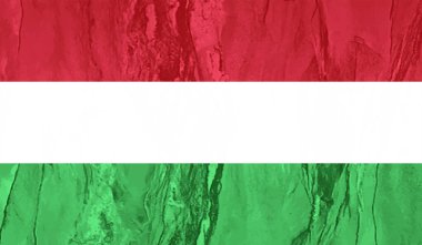 Macaristan Bayrağı. Grunge fırça darbesi ile Macaristan bayrağı gri renkte izole edildi. Stil suluboya çizimi ve grunge dokusu. Vektör illüstrasyonu.