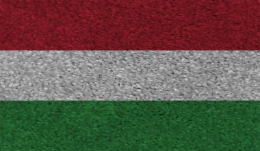 Macaristan Bayrağı. Grunge fırça darbesi ile Macaristan bayrağı gri renkte izole edildi. Stil suluboya çizimi ve grunge dokusu. Vektör illüstrasyonu.