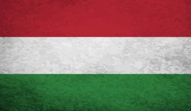 Macaristan Bayrağı. Grunge fırça darbesi ile Macaristan bayrağı gri renkte izole edildi. Stil suluboya çizimi ve grunge dokusu. Vektör illüstrasyonu.