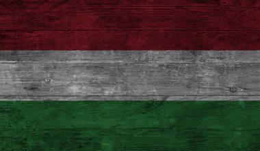 Macaristan Bayrağı. Grunge fırça darbesi ile Macaristan bayrağı gri renkte izole edildi. Stil suluboya çizimi ve grunge dokusu. Vektör illüstrasyonu.