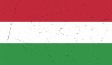 Macaristan Bayrağı. Grunge fırça darbesi ile Macaristan bayrağı gri renkte izole edildi. Stil suluboya çizimi ve grunge dokusu. Vektör illüstrasyonu.
