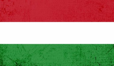 Macaristan Bayrağı. Grunge fırça darbesi ile Macaristan bayrağı gri renkte izole edildi. Stil suluboya çizimi ve grunge dokusu. Vektör illüstrasyonu.