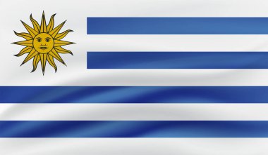 Uruguay bayrağı ve sallanan grunge deseni. Vektör arkaplanı.