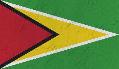 Guayana bayrağı ülke izole vektör çizimi tasarımı