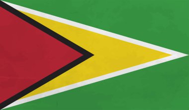 Guayana bayrağı ülke izole vektör çizimi tasarımı