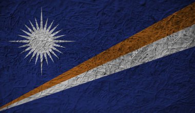 Marshall Adaları Bayrak Vektör Elleri Yuvarlak Fırça ile Boyalı