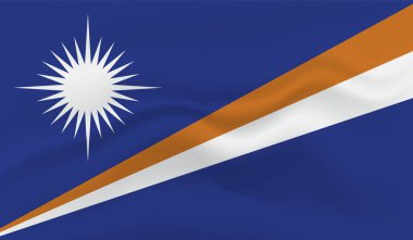 Marshall Adaları Bayrak Vektör Elleri Yuvarlak Fırça ile Boyalı