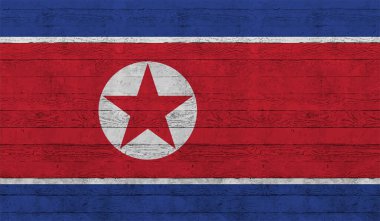 Kuzey Kore bayrağı sallanan grunge desenli. Vektör arkaplanı.