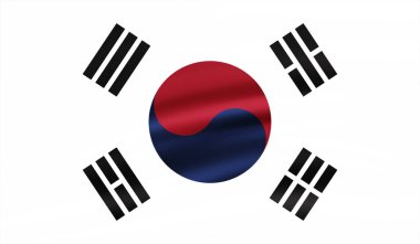 Güney Kore 'nin grunge desenli çizilmiş bayrağı. Vektör tasarımı.